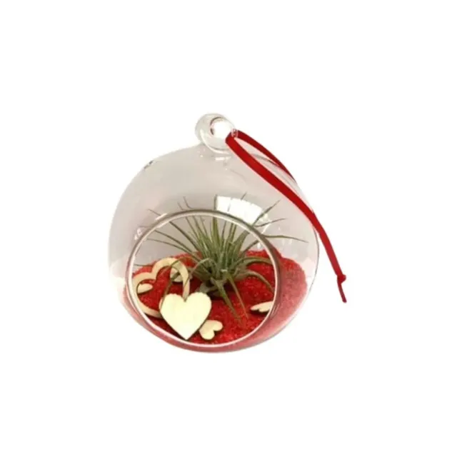 Airplantshop Love Ball suspension tillandsia coeur rouge