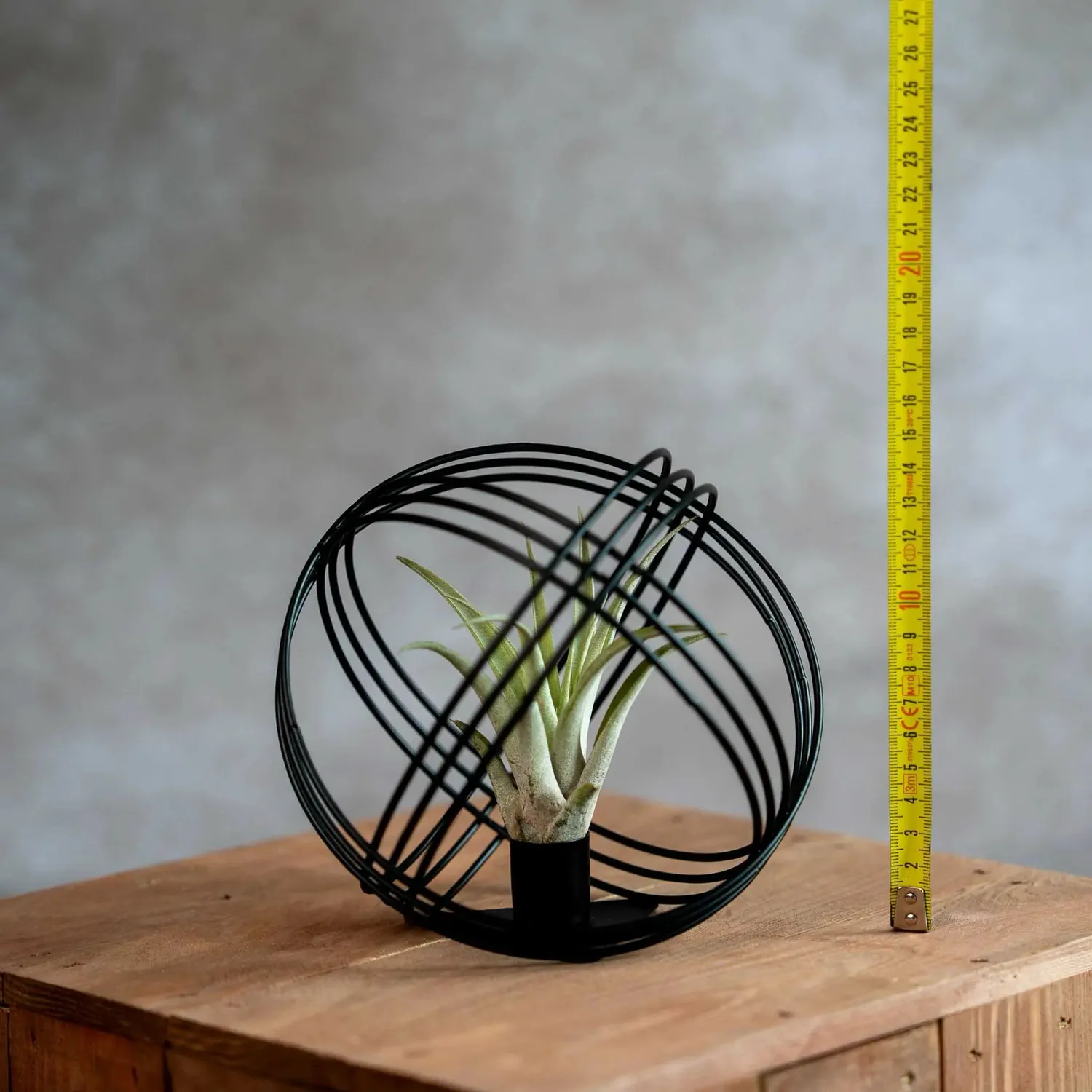 Airplantshop boule métal noir suspension Tillandsia Capitata