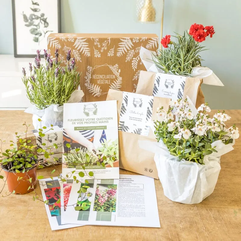 Réconciliation Végétale kit jardinage balcon ombragé 4 plantes
