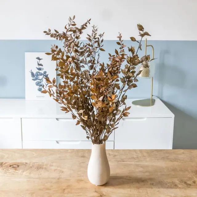 Réconciliation Végétale Ruscus brun bouquet séché 100g