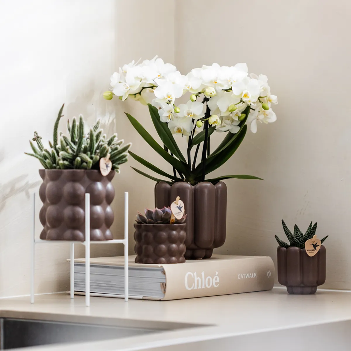 Plant and Stories Cotton cache-pot céramique 12 cm sable mat