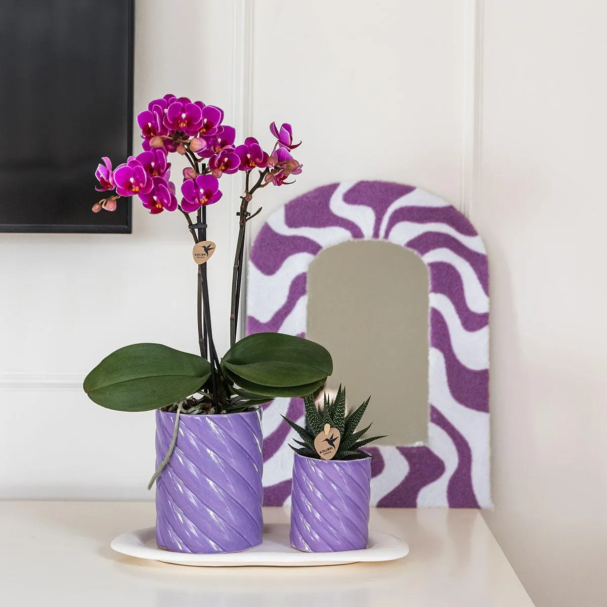 Plant and Stories Phalaenopsis orchidée orange coffret cadeau