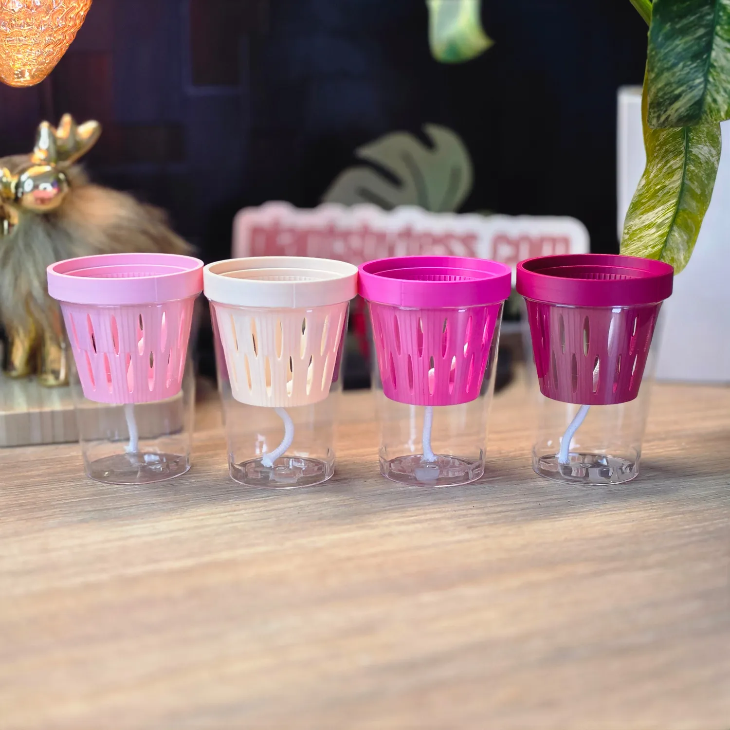 plant.ess MIDI SIPS pot auto-arrosant lot 4 Multi Color 8x6 cm