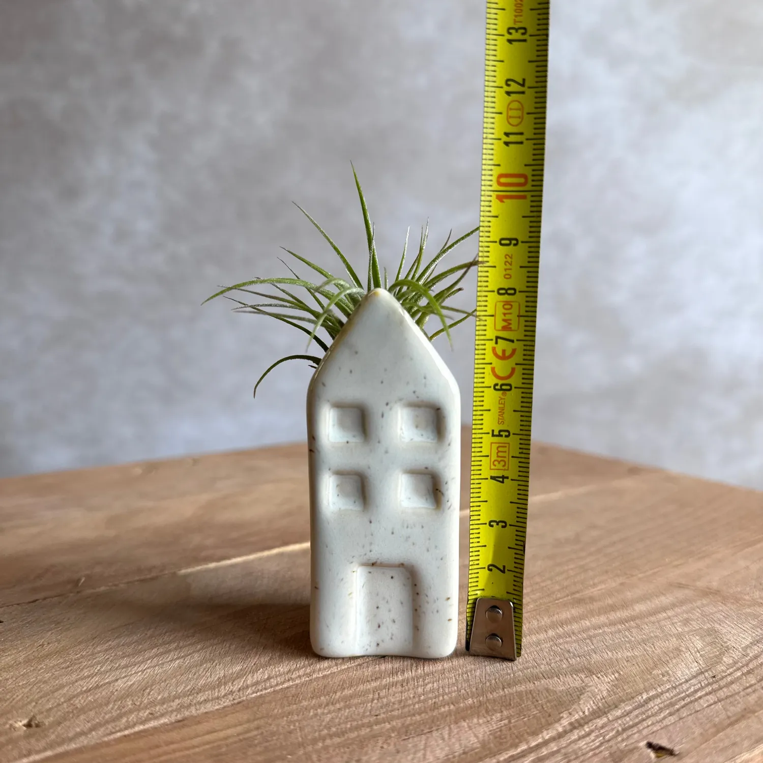 Airplantshop maison miniature Grachtenpandje Tillandsia bleu