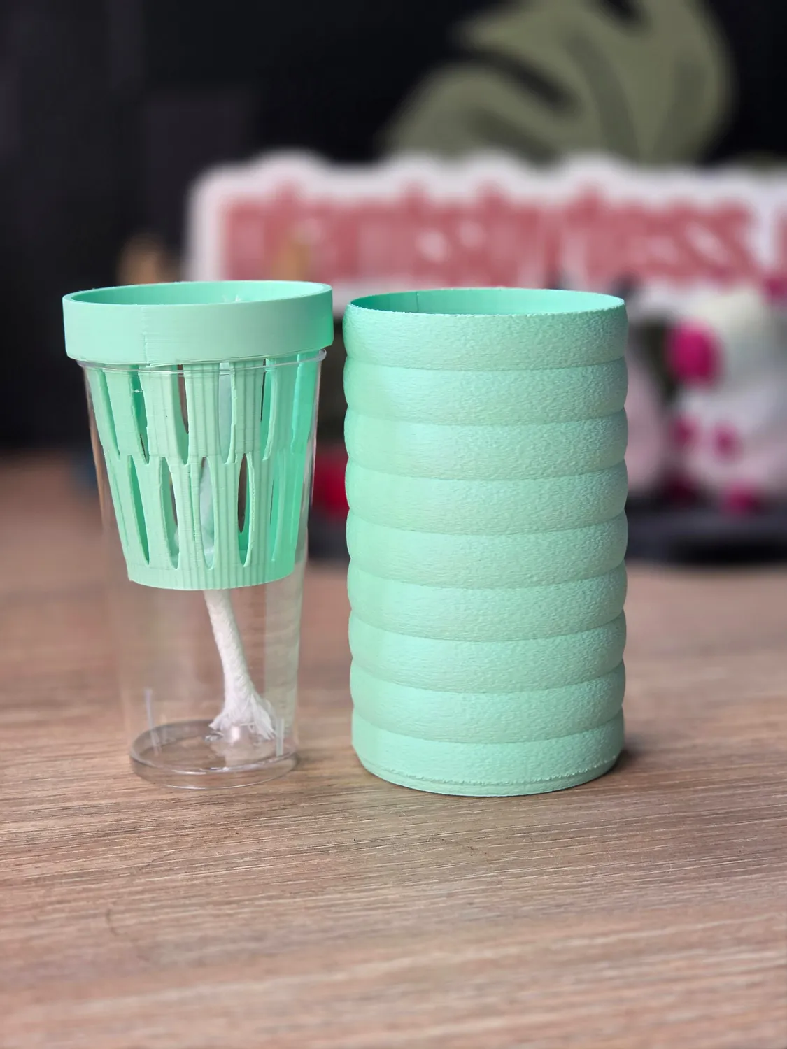 plant.ess Mini Sips set pot auto-arrosant complet 5 cm
