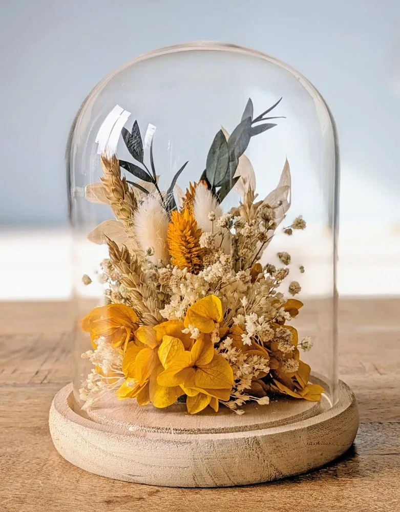 Réconciliation Végétale Georgette cloche verre jaune hortensia