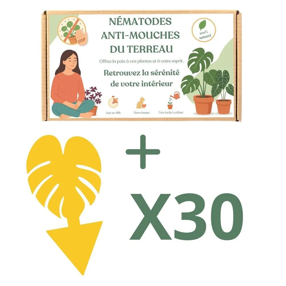 Plant and Stories Felti nématodes anti-moucherons 5 millions