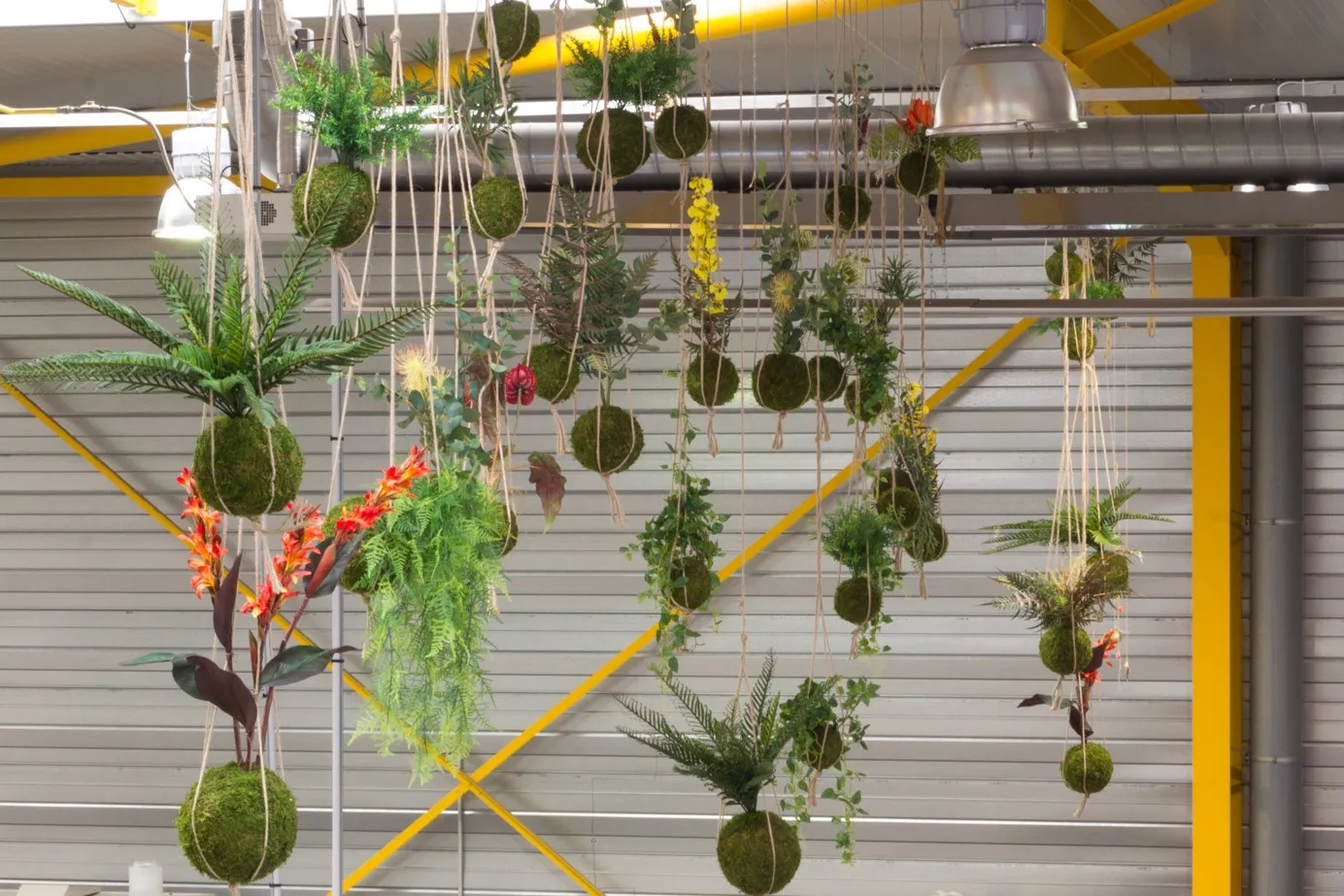 Aquaphyte système suspension kokedama crochet spirale
