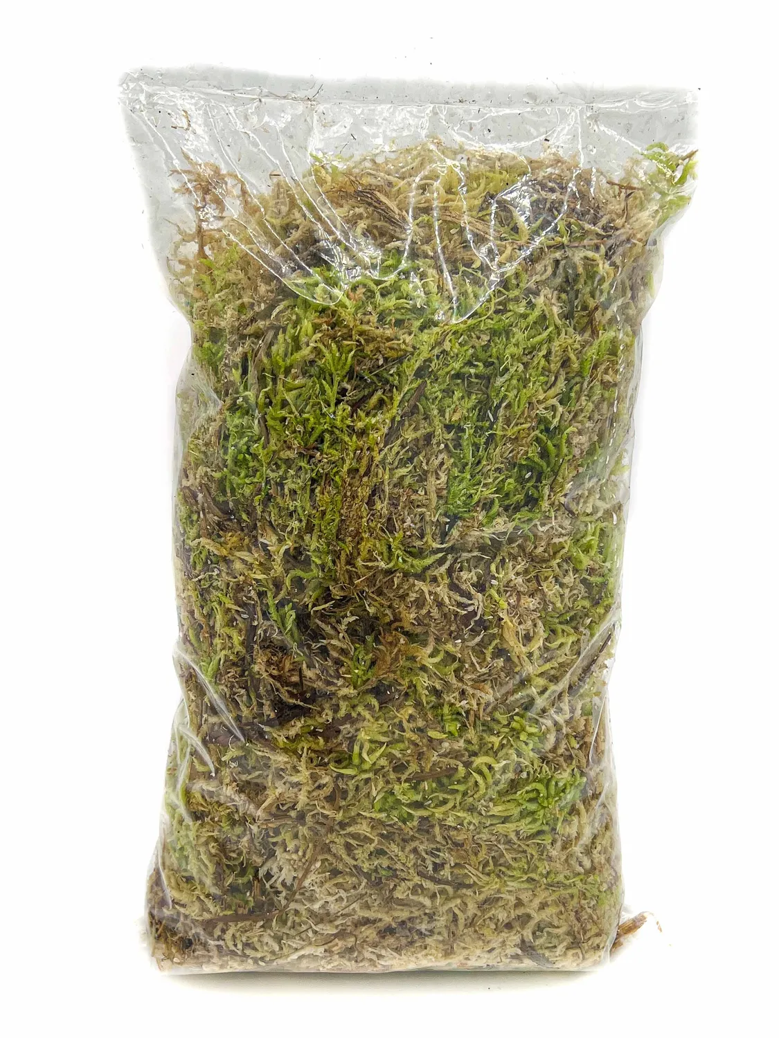 Plant and Stories Plant Addict sphaigne vivante 3 sachets naturel