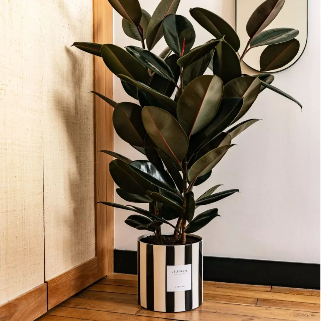 By Charlot Color Block rayée XL cache-pot 24 cm noir