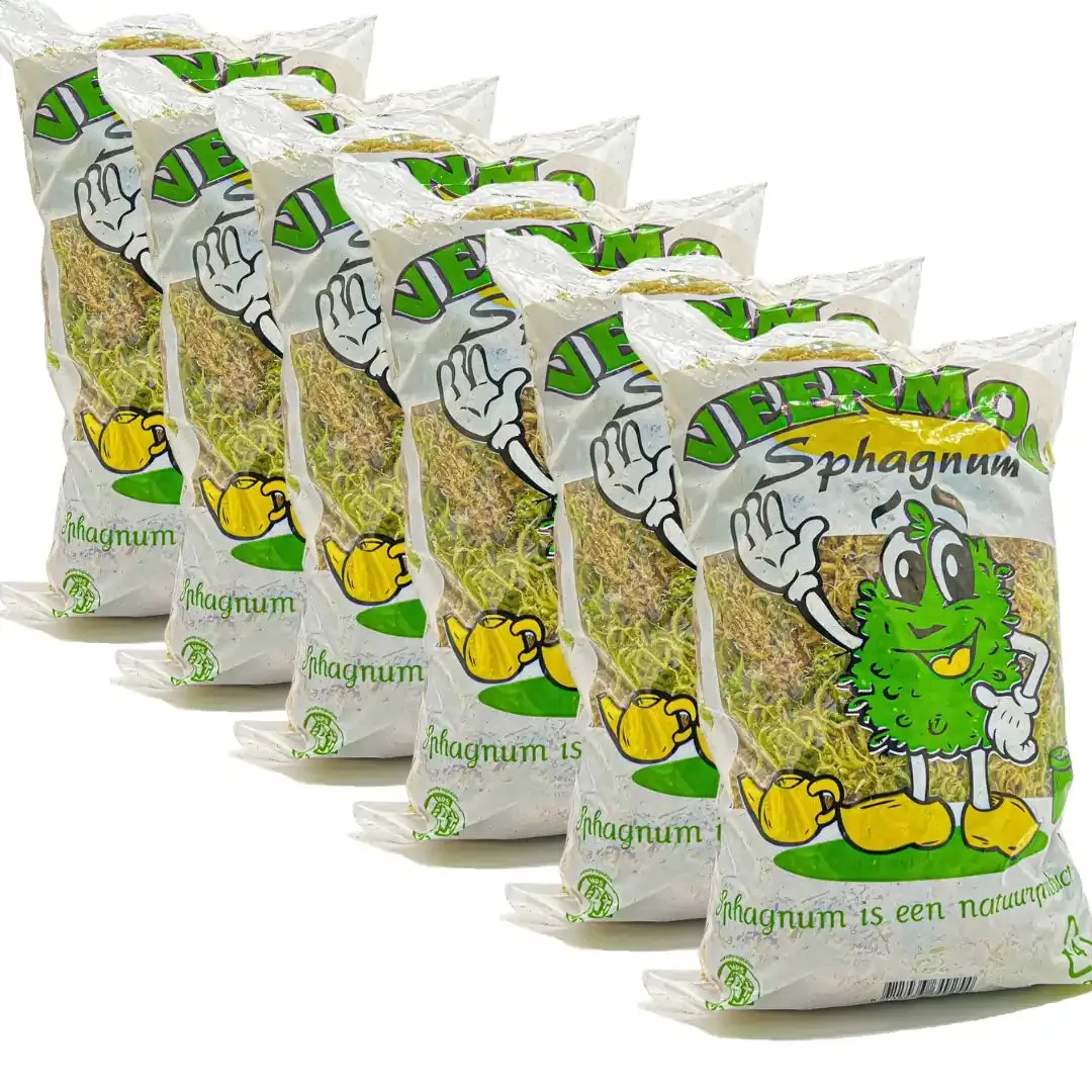PLANT AND STORIES sphaigne vivante mousse 6 sachets naturelle