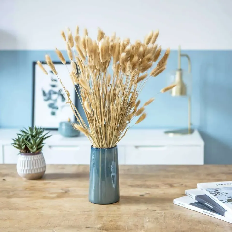Réconciliation Végétale lagurus ovatus botte fleurs séchées naturel 90g