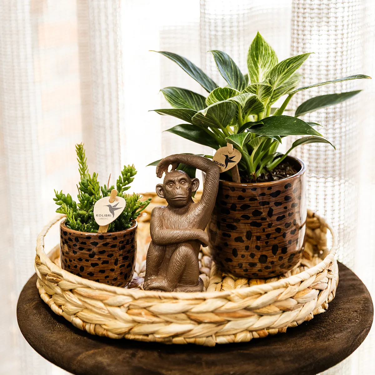 Plant and Stories cache-pot céramique léopard 9 cm