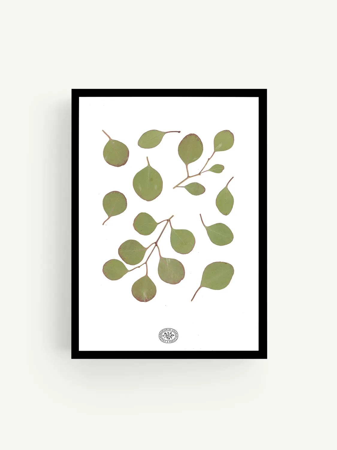 By Charlot herbier Eucalyptus Blanc 21x30 cm