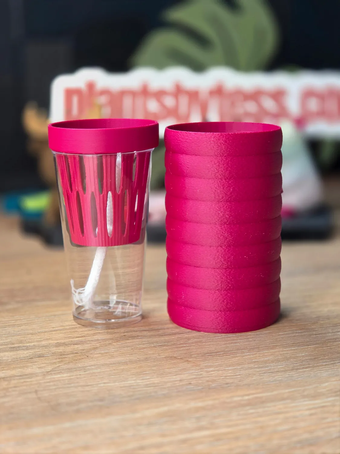 plant.ess Mini Sips set pot auto-arrosant complet 5 cm