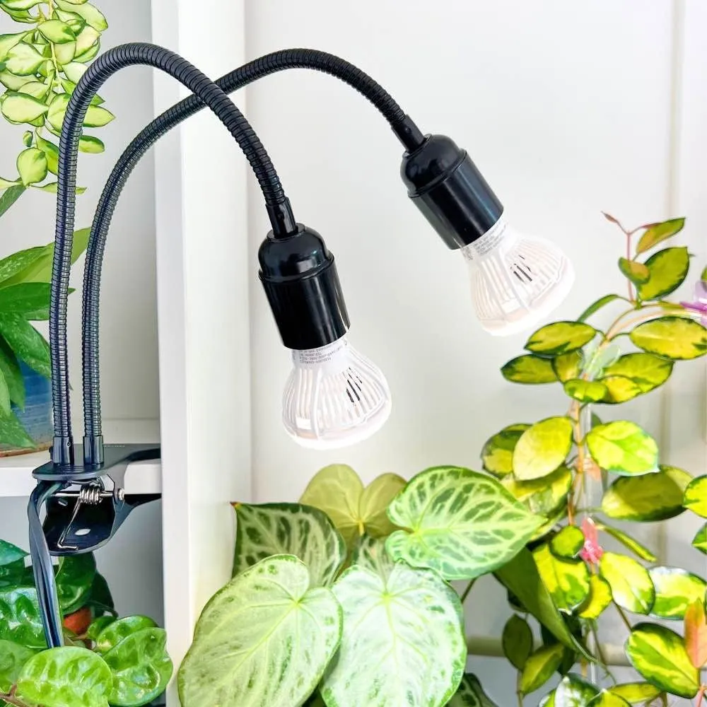 Plant and Stories Lampe horticole spectre complet 2 ampoules