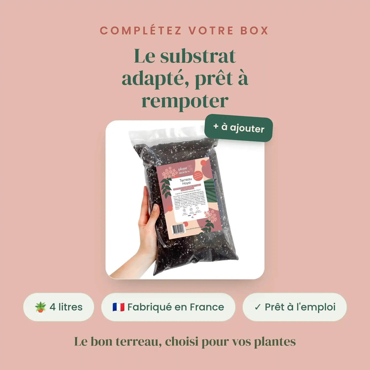 Plant and Stories box Hoya mystères pack 3 surprises