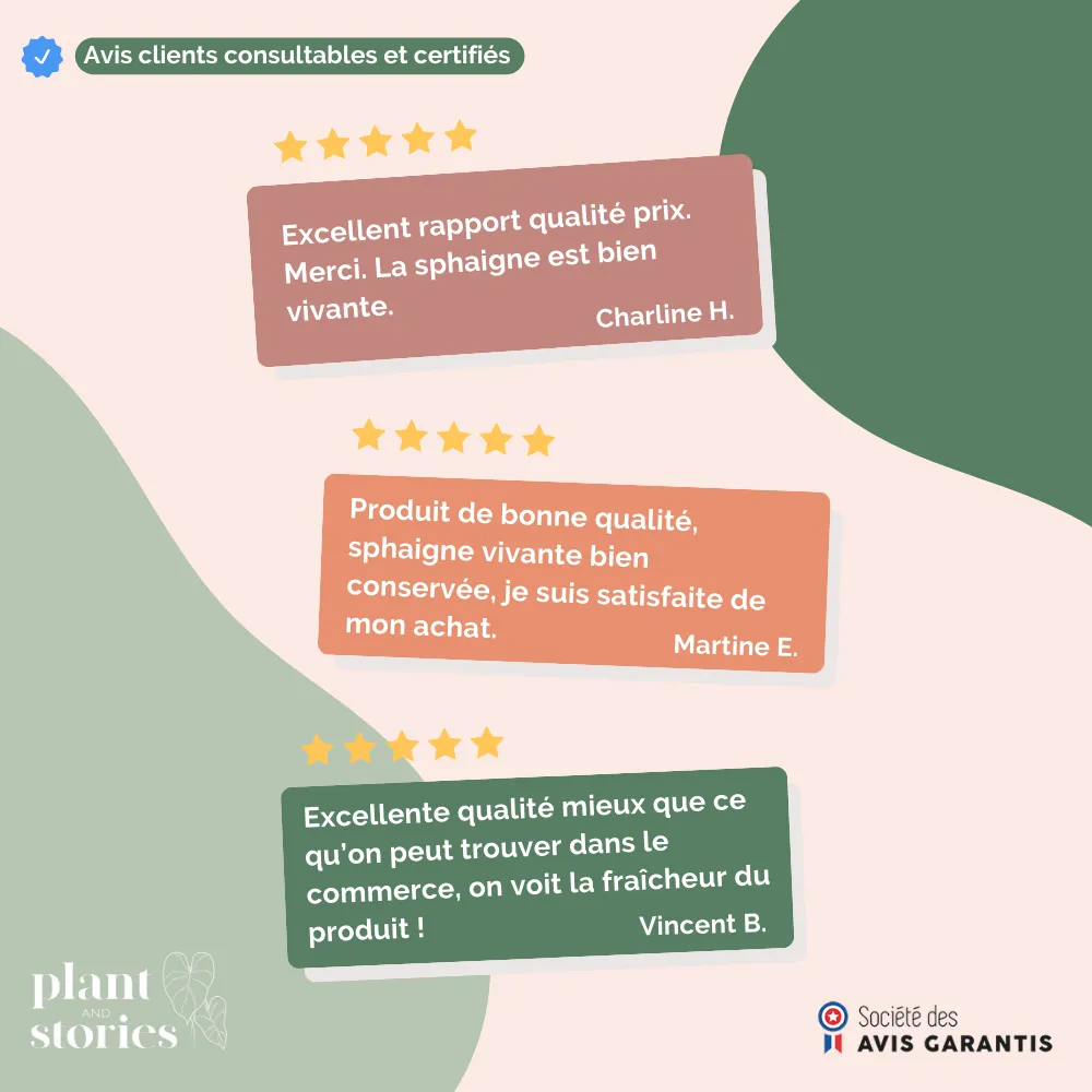 Plant and Stories Plant Addict sphaigne vivante 3 sachets naturel