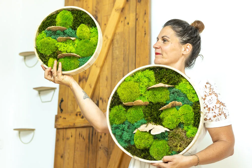 Réconciliation Végétale lot 2 tableaux végétaux ronds sous-bois stabilisés