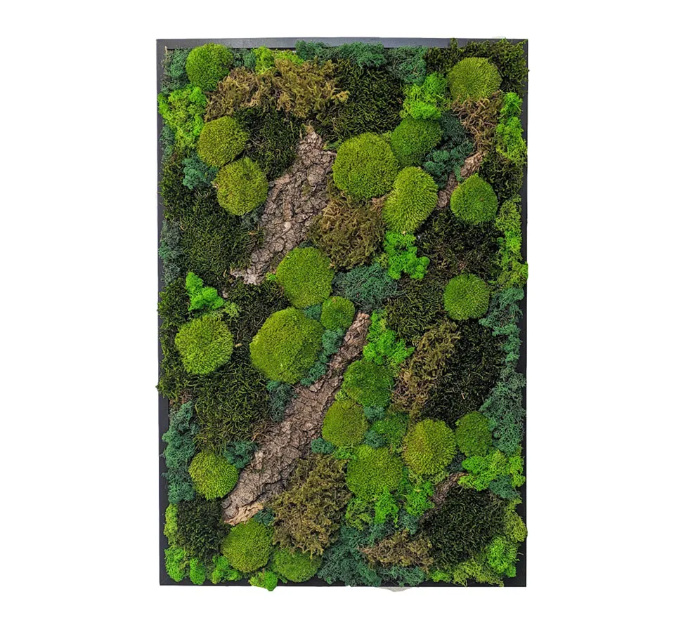 Réconciliation Végétale Forest tableau végétal stabilisé rectangulaire 61x91