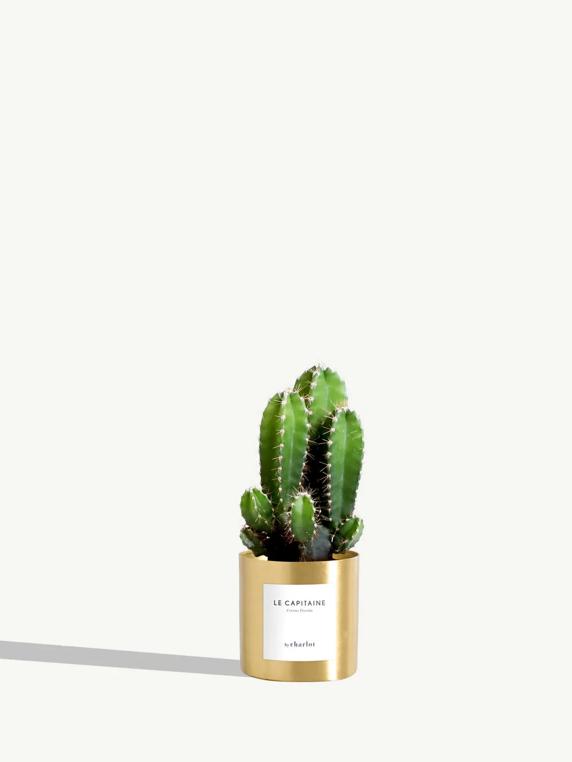 By Charlot Le Capitaine cactus miniature pot 6 cm