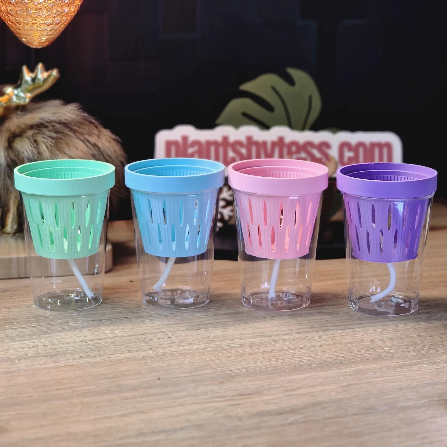 plant.ess MIDI SIPS pot auto-arrosant lot 4 Multi Color 8x6 cm