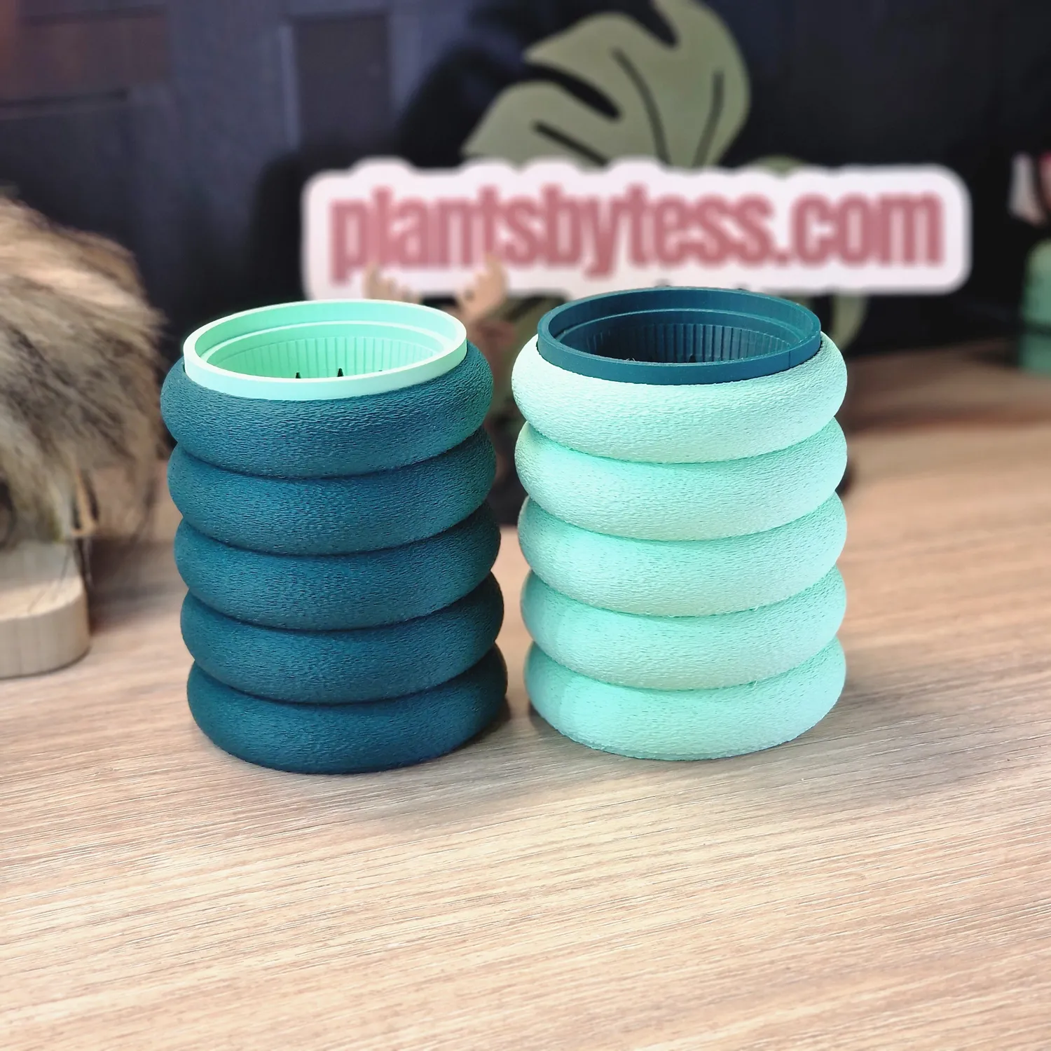 plant.ess Marshmallow Midi Sips pots auto-arrosants roses lot 2