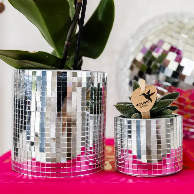 Plant and Stories Disco cache-pot céramique 6 cm miroir
