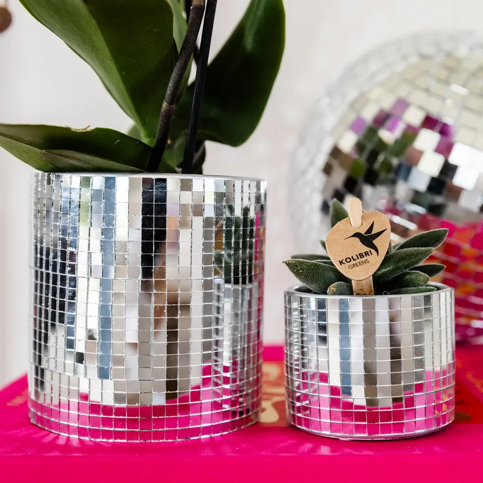 Plant and Stories Disco cache-pot céramique 6 cm miroir