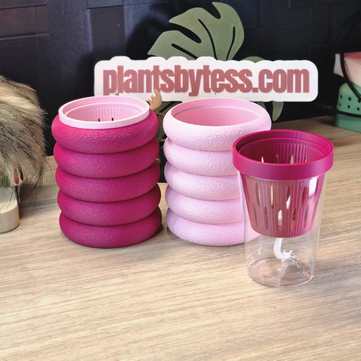 plant.ess Marshmallow Midi Sips pots auto-arrosants roses lot 2
