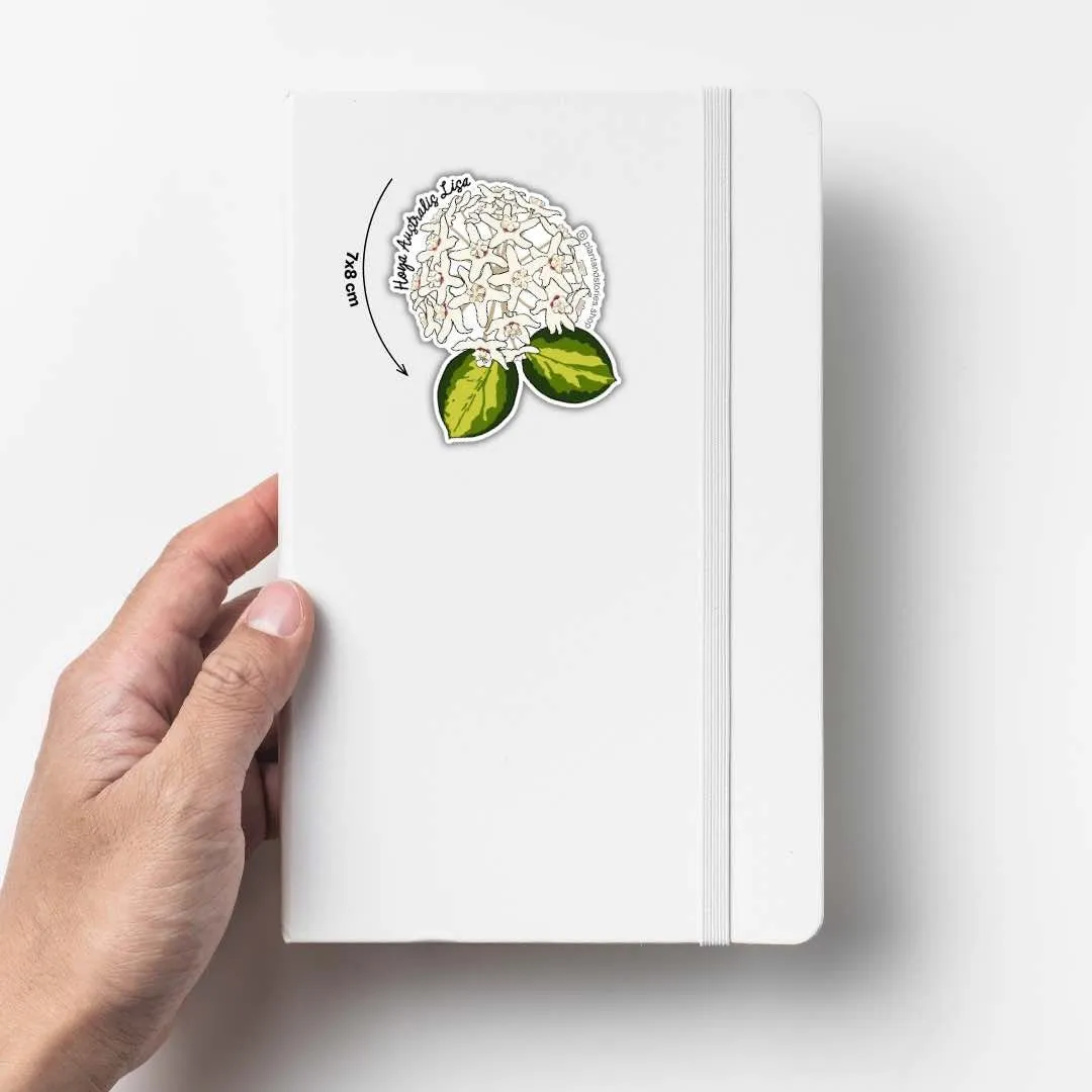 Plant and Stories Hoya Mathilde carte plante avec sticker
