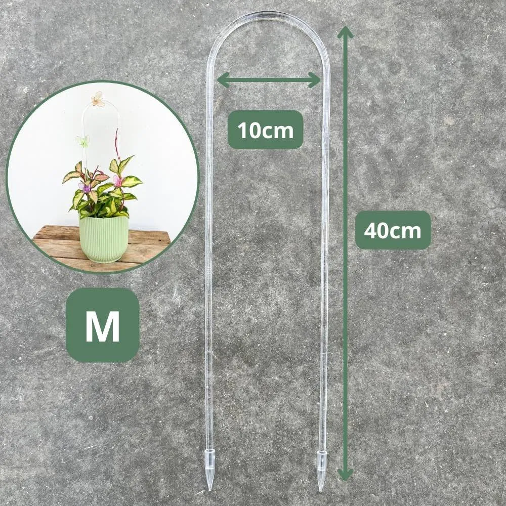 Plant and Stories Hoya tuteur arche acrylique transparent taille S