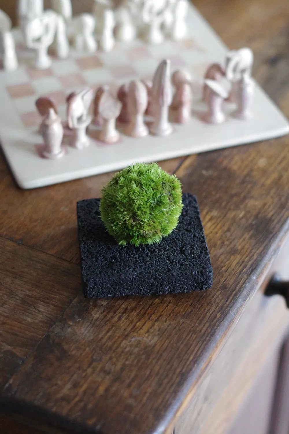 AQUAPHYTE Pochi support kokedama charbon bambou