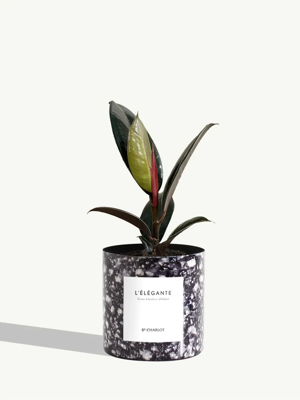 By Charlot L’Élégante plante pot métal bleu marbré mat