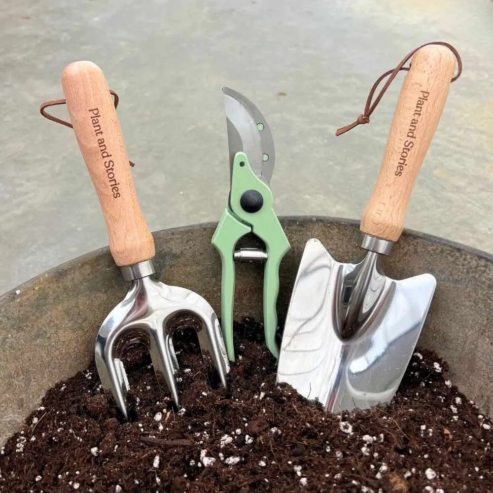 Plant and Stories duo kit 3 outils + substrat 10L rempotage
