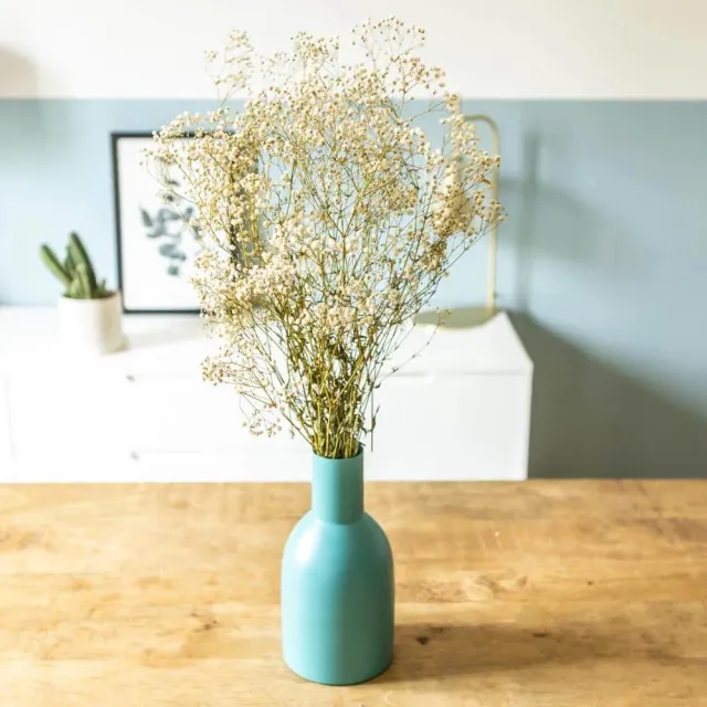 Réconciliation Végétale gypsophile bouquet fleurs séchées blanc 100g