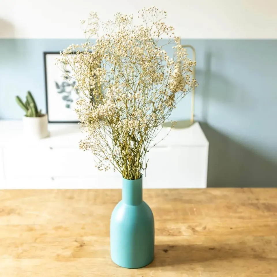 Réconciliation Végétale gypsophile bouquet fleurs séchées blanc 100g