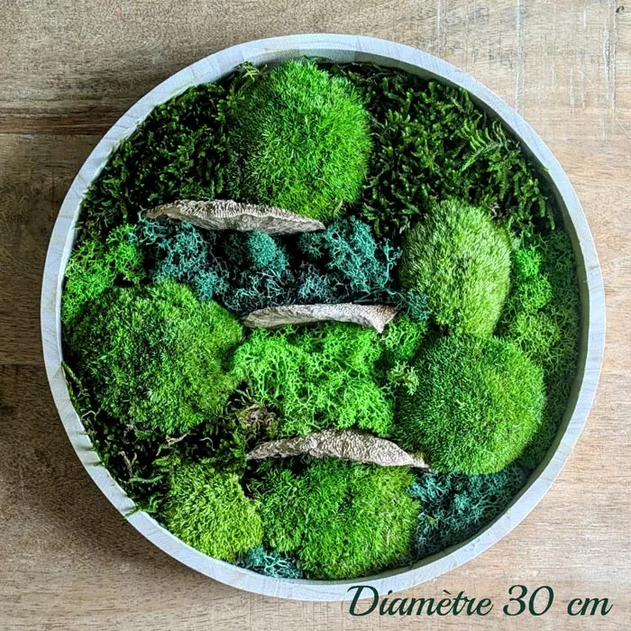 Réconciliation Végétale lot 2 tableaux végétaux ronds sous-bois stabilisés