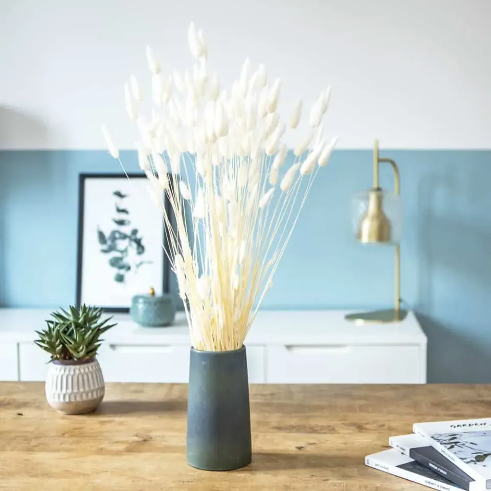 Réconciliation Végétale Lagurus botte fleurs séchées blanc 90 g