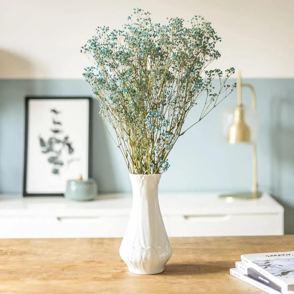 Réconciliation Végétale Gypsophile bouquet fleurs séchées 100g bleu