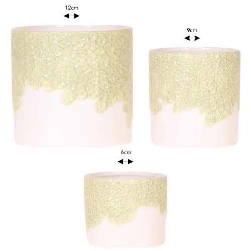 Plant and Stories lot 3 cache-pots céramique vert 6 9 12 cm floral