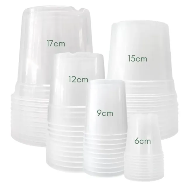 Plant and Stories Pack X50 pots transparents drainage 50 pots seuls
