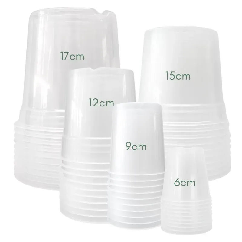 Plant and Stories Pack X50 pots transparents drainage 50 pots seuls