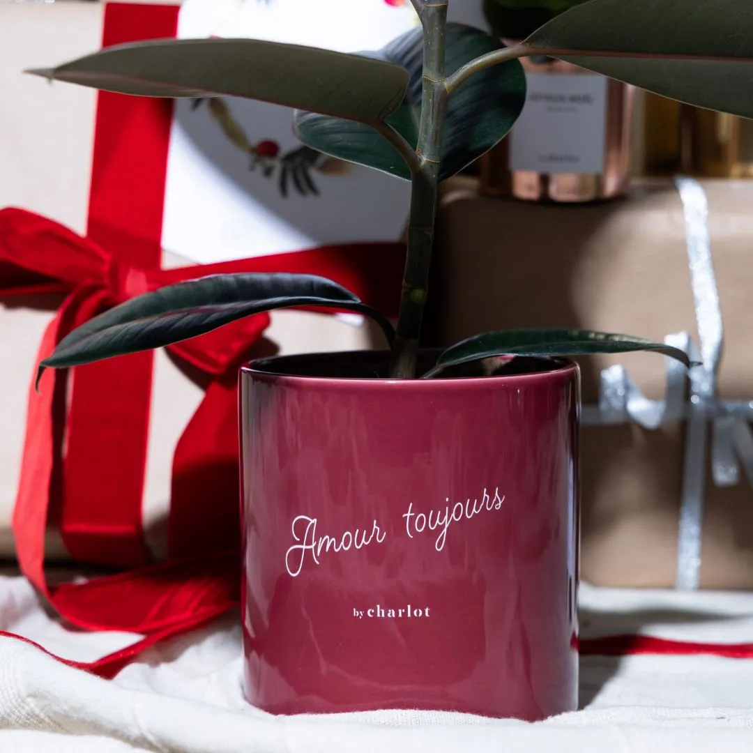 By Charlot Sorbet Cassis cache-pot céramique 14 cm