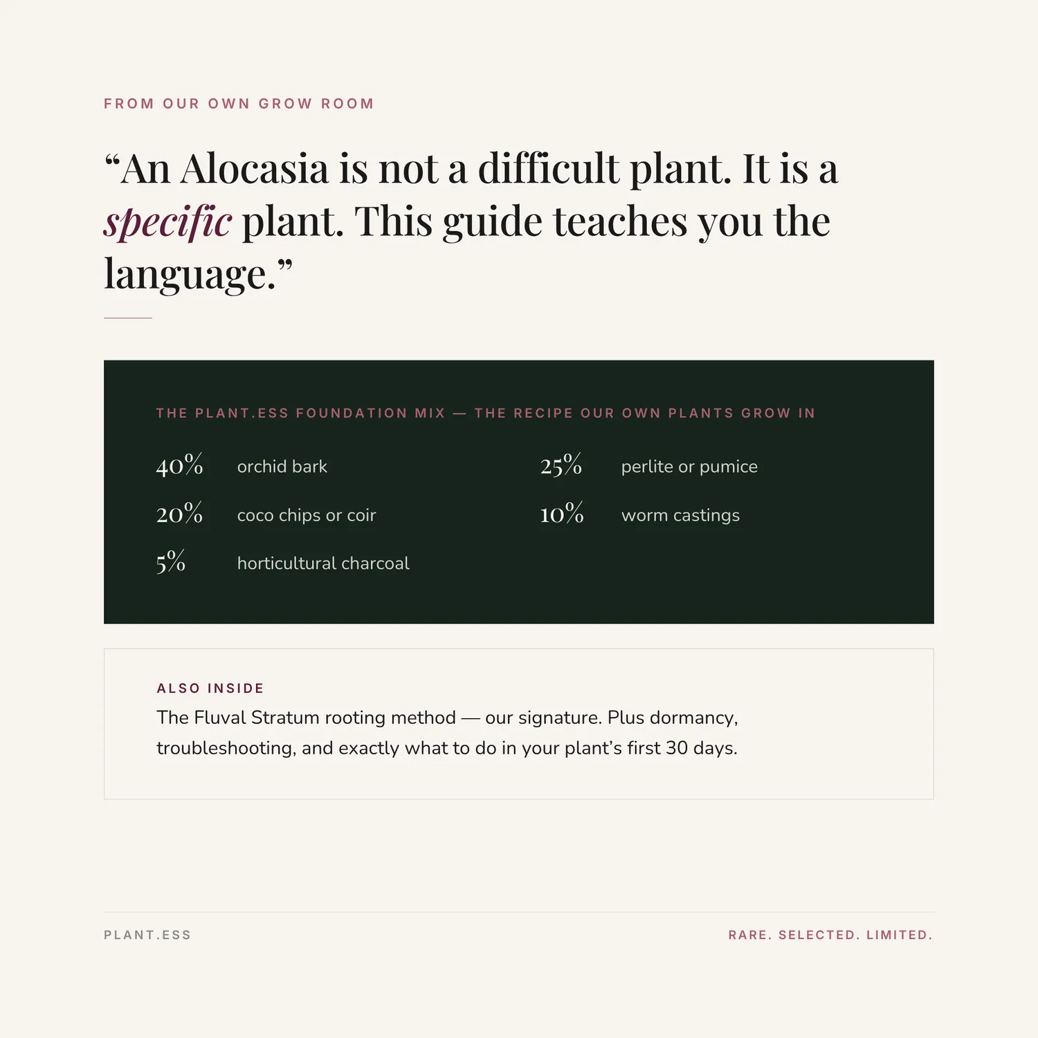 plant.ess Alocasia Foundations guide numérique Vol. I entretien