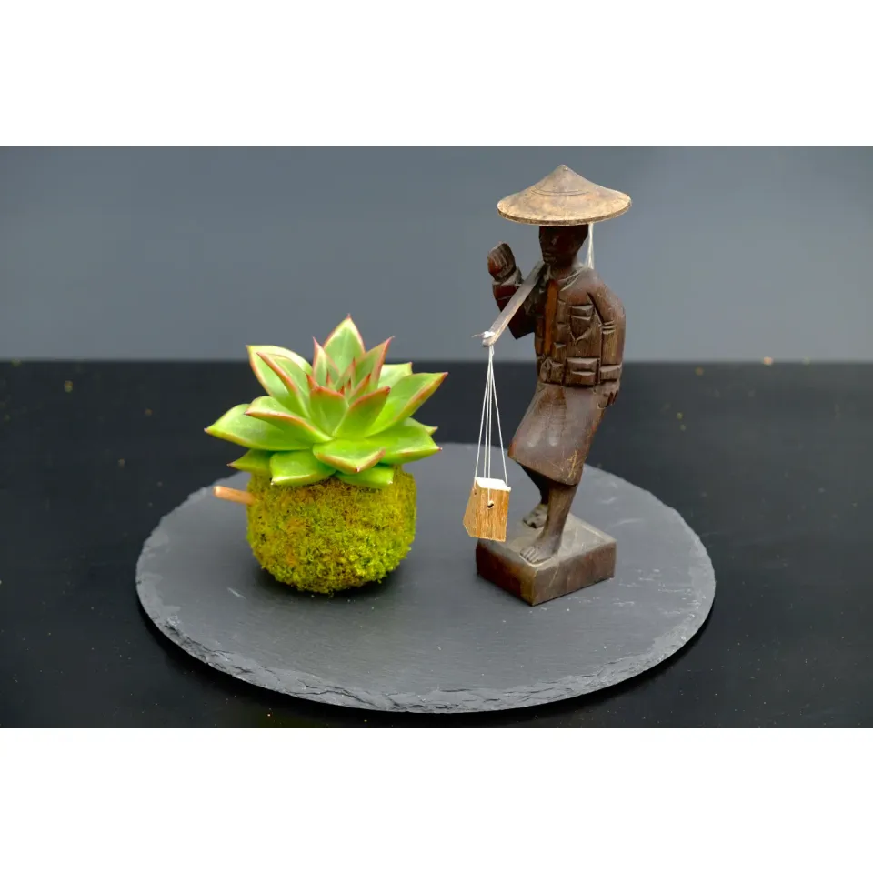 Oh My Green Echeveria kokedama taille XS soleil peu d’eau