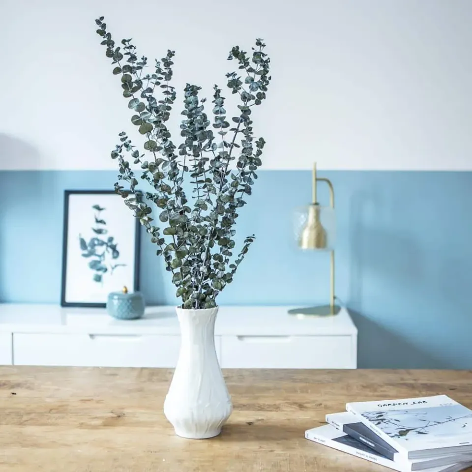 Réconciliation Végétale eucalyptus baby botte fleurs séchées 150g
