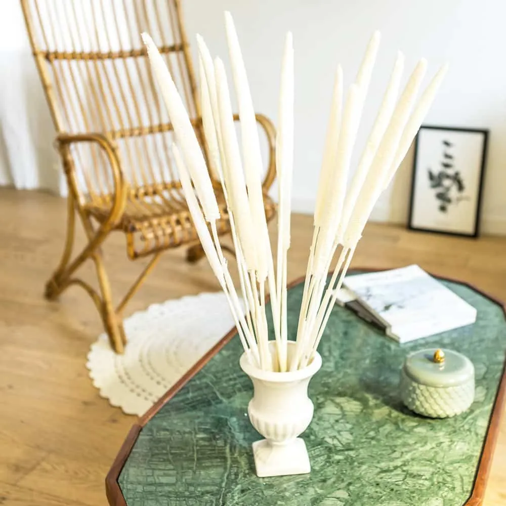 Réconciliation Végétale babala bouquet fleurs séchées blanc 15 tiges
