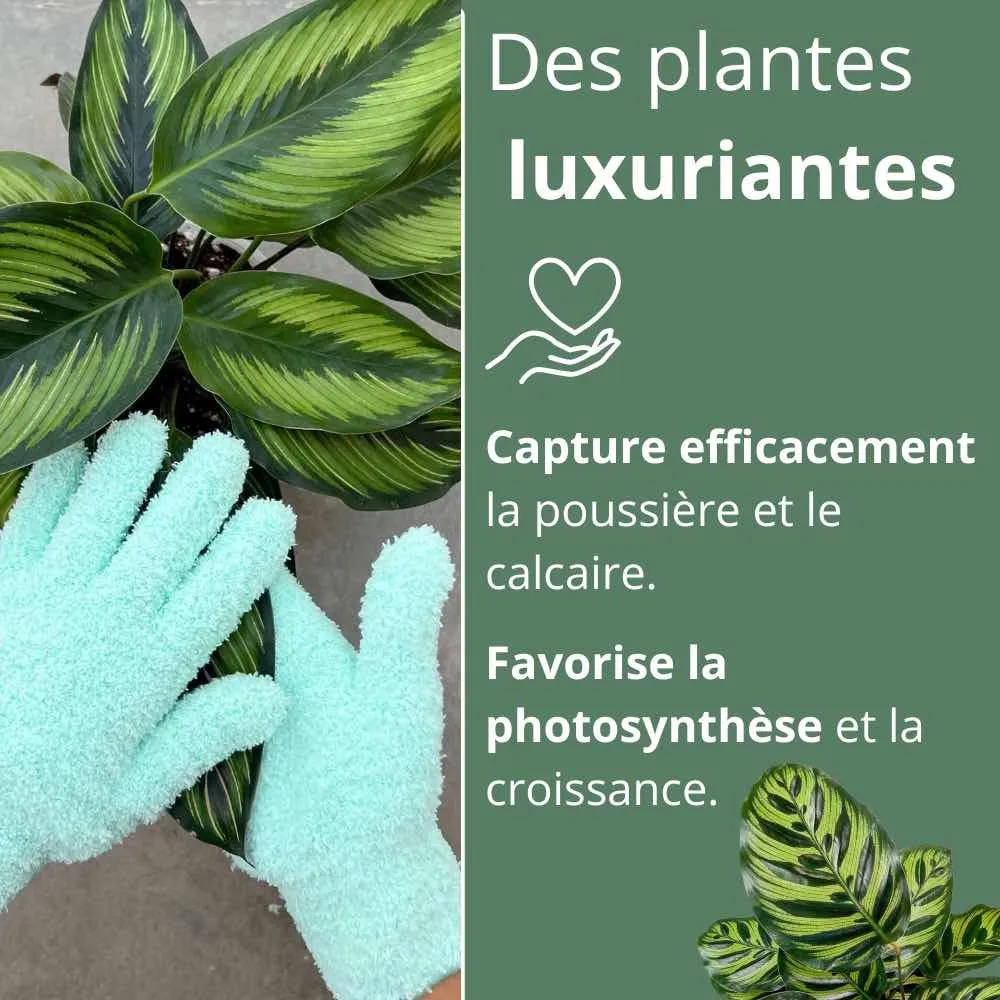 Plant and Stories Gants Nettoyage Plante Microfibre Anti-calcaire Rose