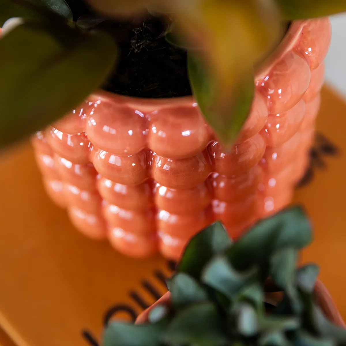 Plant and Stories Grosetto orchidée phalaenopsis orange pot 9 cm